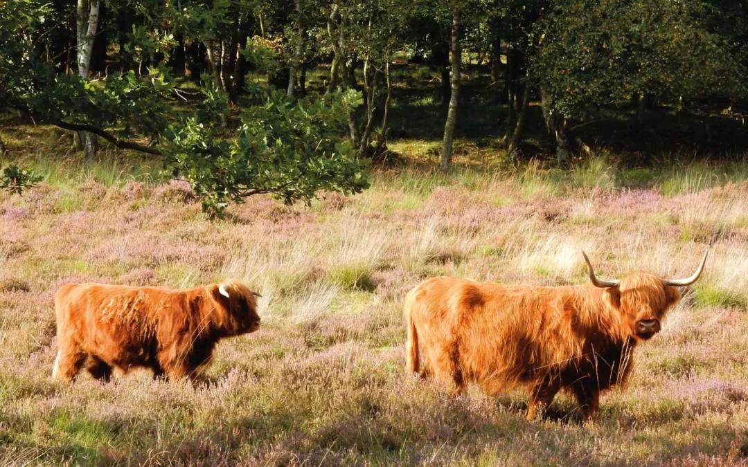 Bewonersbijeenkomst Vulcanus Langerak: belangrijke stap in verkenning herontwikkeling